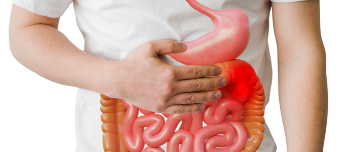 Descubra as 5 Doenças que um Intestino Não Saudável Pode Causar — E Como Evitá-las!